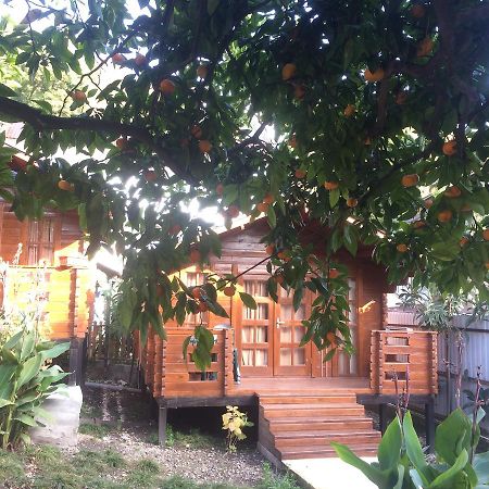 Коттедж Hotel New Athos Екстериор снимка